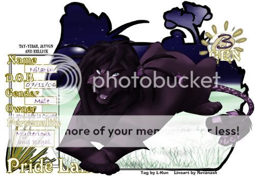 User Image